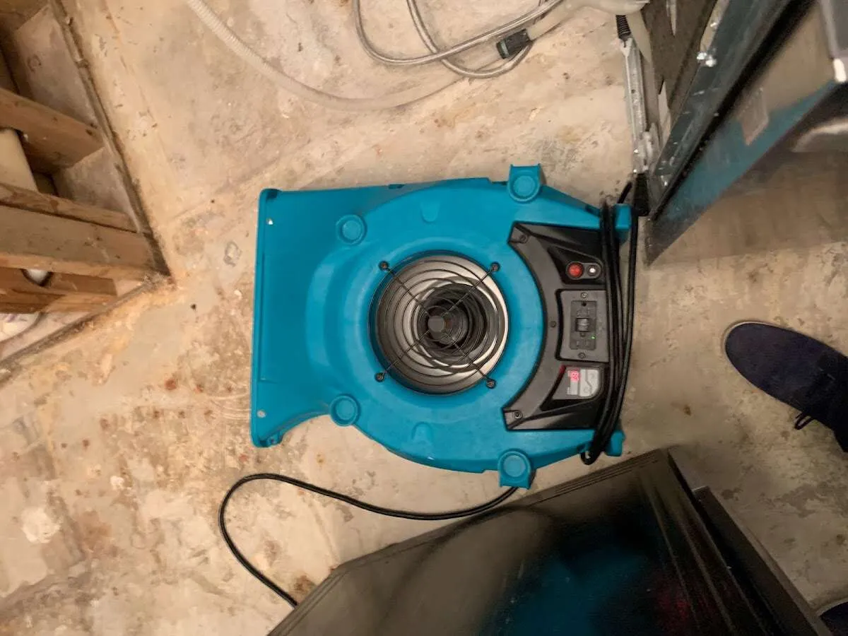Air mover drying equipment for Mold Remediation & Removal in Plainfield